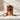 Cassoulet de Castelnaudary 5/1