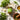 Pesto bocal 500g