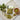 Pistache de Sicile brute hachée s/ vide 100g