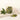 Pistache de Sicile émondée s/ vide 1kg