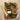 Curry vert poudre bocal 106ml  35g