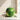 Pastèque - sélection FOODHUB