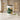 Huile de Tournesol Oleique Vierge Extra BIO | 5L | FOODHUB