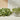 Tisane Feuille de Goyave Japonais (Biologique) - FOODHUB